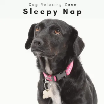 1 Sleepy Nap by Dog Relaxing Zone