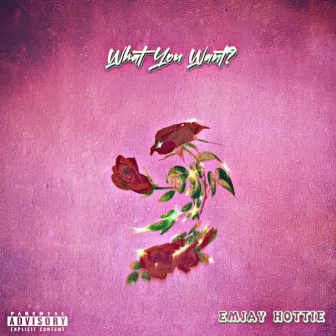 What you want by EMJAY HOTTIE