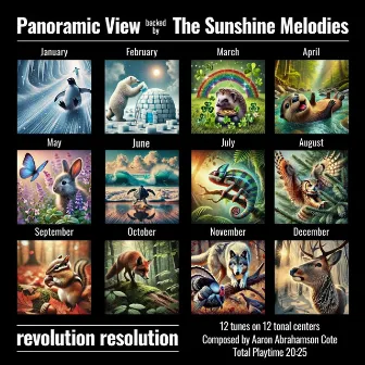 Revolution Resolution by Panoramic View