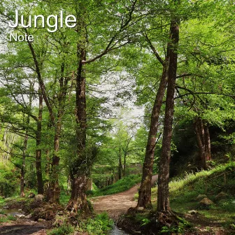 Jungle by Note