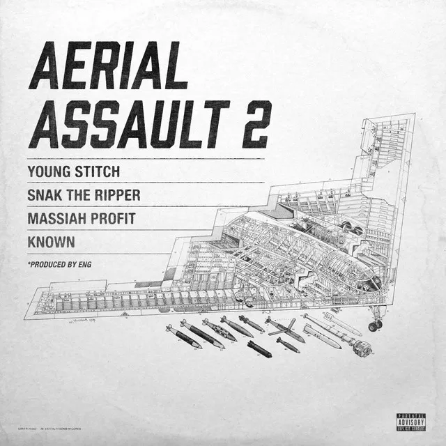 Aerial Assault 2