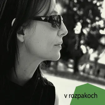 V rozpakoch by Jan Boleslav Kladivo