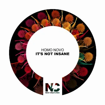 It's Not Insane by Homo Novo