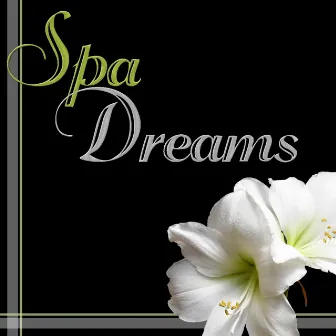 Spa Dreams by The Fountains