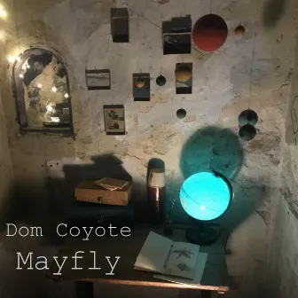 Mayfly by Dom Coyote