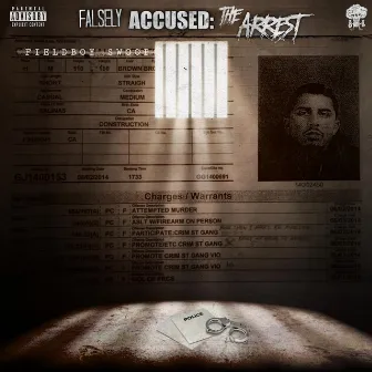 Falsely Accused:The Arrest by FieldBoy Swoop