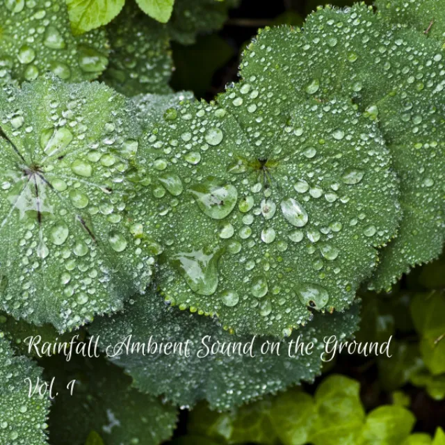 Rainfall Ambient Sound on the Ground Vol. 1