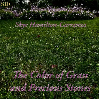 The Color of Grass and Precious Stones by Skye Hamilton-Carranza