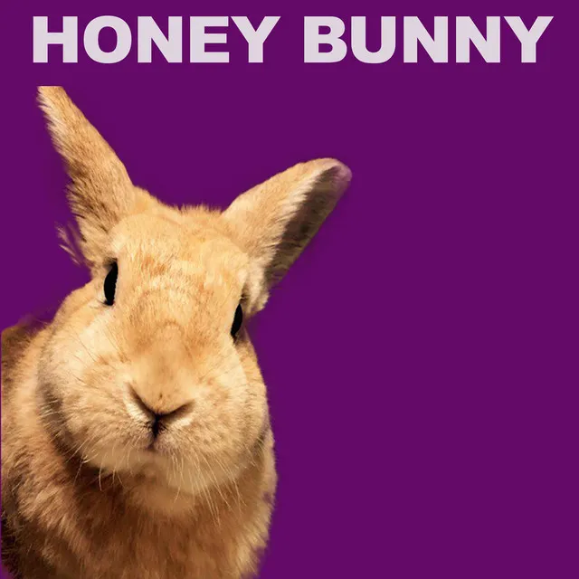 Boy And Girls - Honey Bunny Remix