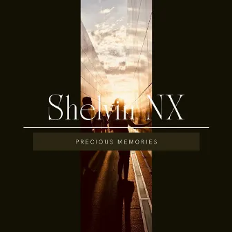 Precious Memories by Shelvin NX