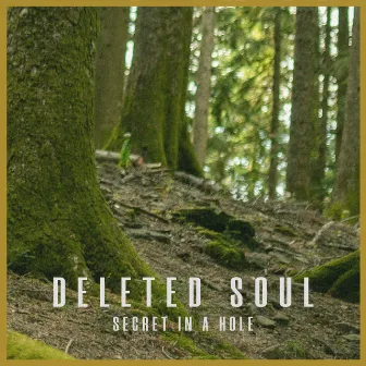 Secret In A Hole by Deleted Soul