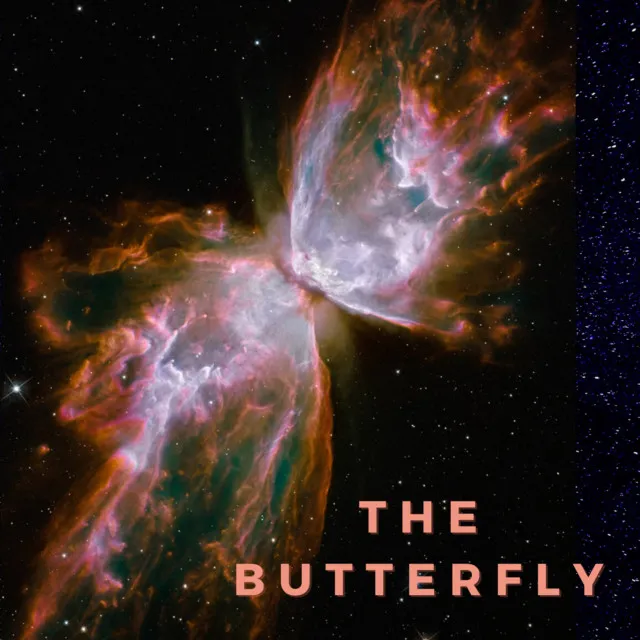 The Butterfly