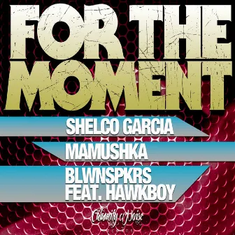 For The Moment (feat. HawkBoy) - Single by Shelco Garcia