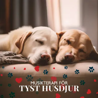 Musikterapi för tyst husdjur: Sånger för din hund, Katt eller annat husdjur, Skonsam djurläkning, Lugnande sömn vaggvisa, Fridfulla och glada husdjur utan ångest by Hundmusik oas