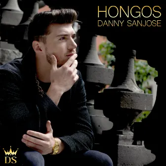 Hongos by Danny Sanjose