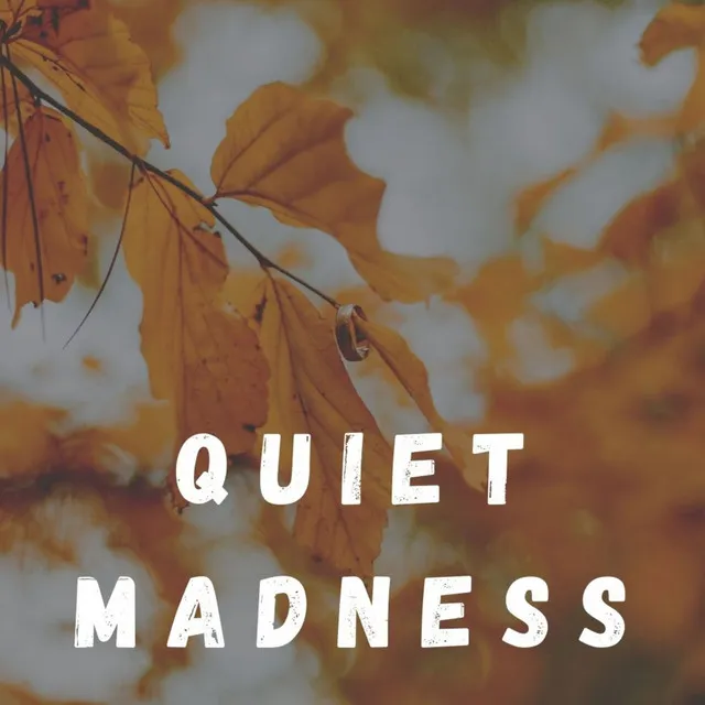 Quiet Madness