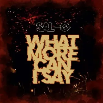 What More Can I Say by Sal-O