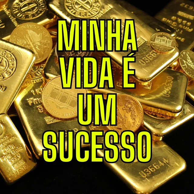 Minha Vida é um Sucesso