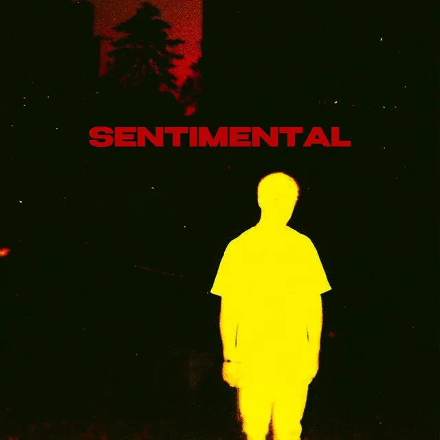 Sentimental