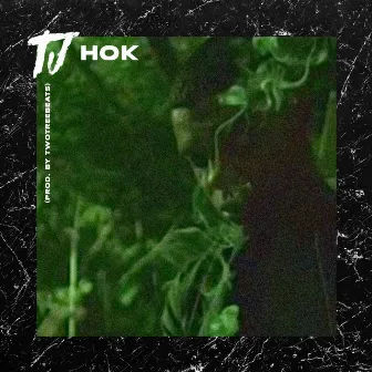 Hok by TJ