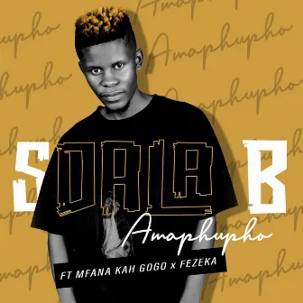 Amaphupho by Sdala B