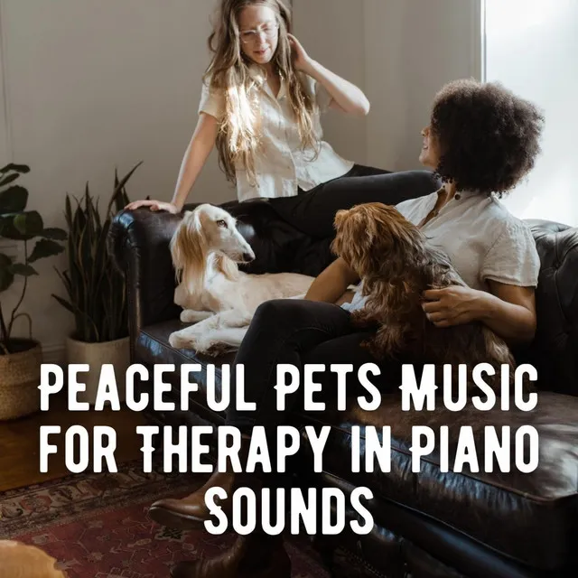 Gentle Piano Lullaby for Anxious Pets