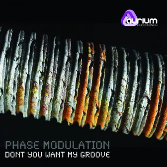 Dont You Want My Groove by Phase Modulation