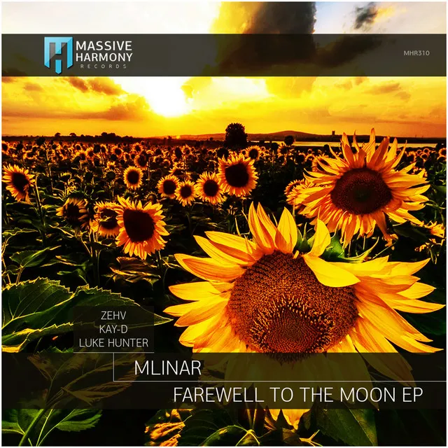 Farewell to the Moon - Luke Hunter Remix