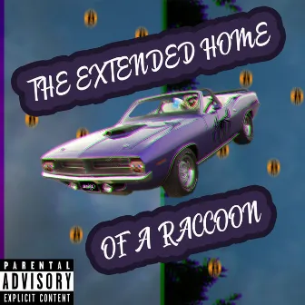 The Extended Home of a Raccoon by Lil Newkzi