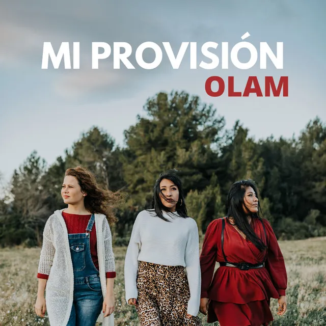 Mi Provisión