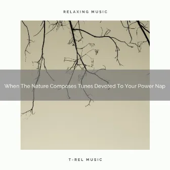 When The Nature Composes Tunes Devoted To Your Power Nap by ASMR Static Noise Insomnia Cure