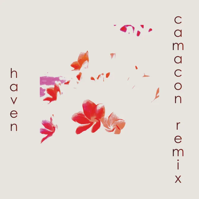 haven - CamaCon Remix