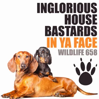 In Ya Face by Inglorious House Bastards