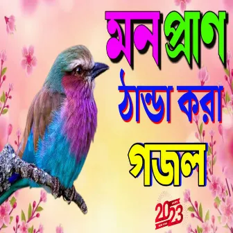 Tumi probu doyar sagor gojol by Dilwar Hussain