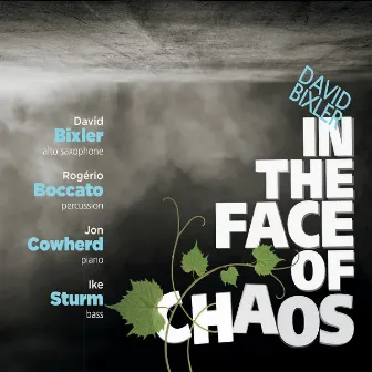 In the Face of Chaos (feat. Rogério Boccato, Jon Cowherd, & Ike Sturm) by David Bixler