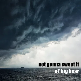 Not Gonna Sweat It by Ol' Big Bear