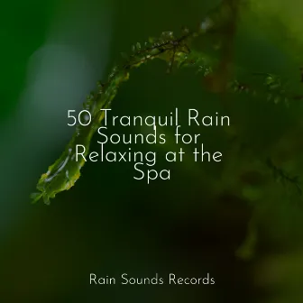 50 Tranquil Rain Sounds for Relaxing at the Spa by PowerThoughts Meditation Club