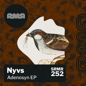 Adenosyn EP by Nyvs