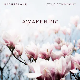 Awakening by Natureland