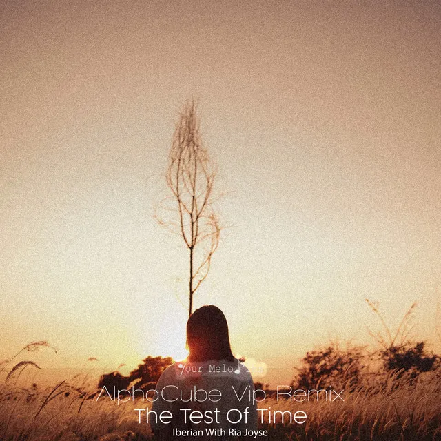 The Test of Time - AlphaCube Radio Edit VIP Remix