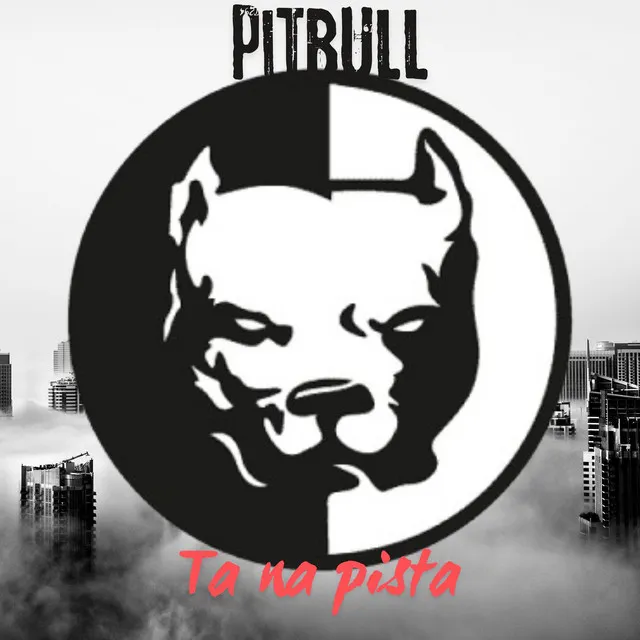 PITBULL TA NA PISTA