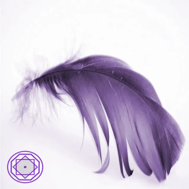 Feather