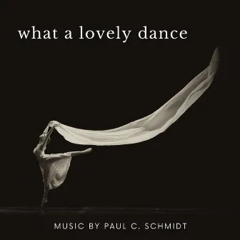 What a Lovely Dance by Paul C. Schmidt