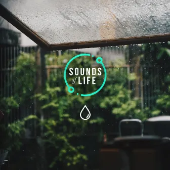 Raindrops on Perspex Roofing by Sounds of Life