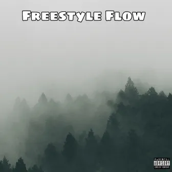 Freestyle Flow by Young Boy Ski Mask