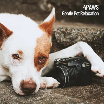 4Paws: Gentle Pet Relaxation by Relaxing Guru