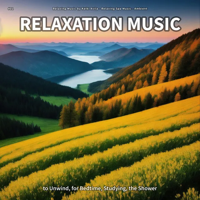 #01 Relaxation Music to Unwind, for Bedtime, Studying, the Shower