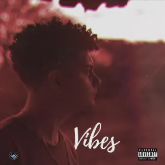 Vibes by Wally B