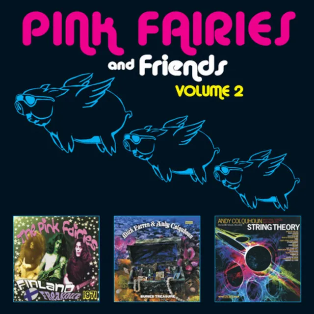 The Pink Fairies and Friends, Vol. 2