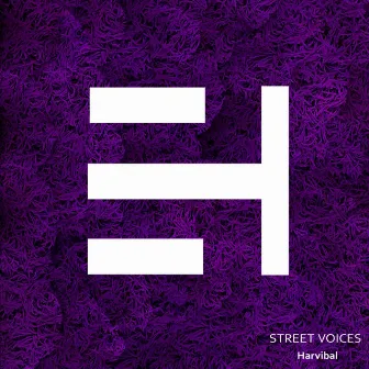 Street Voices by Akeos